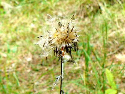 Vallée de Planchetorte
